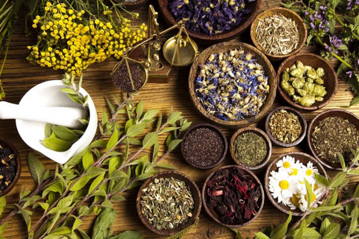 Les bienfaits des plantes adaptogènes