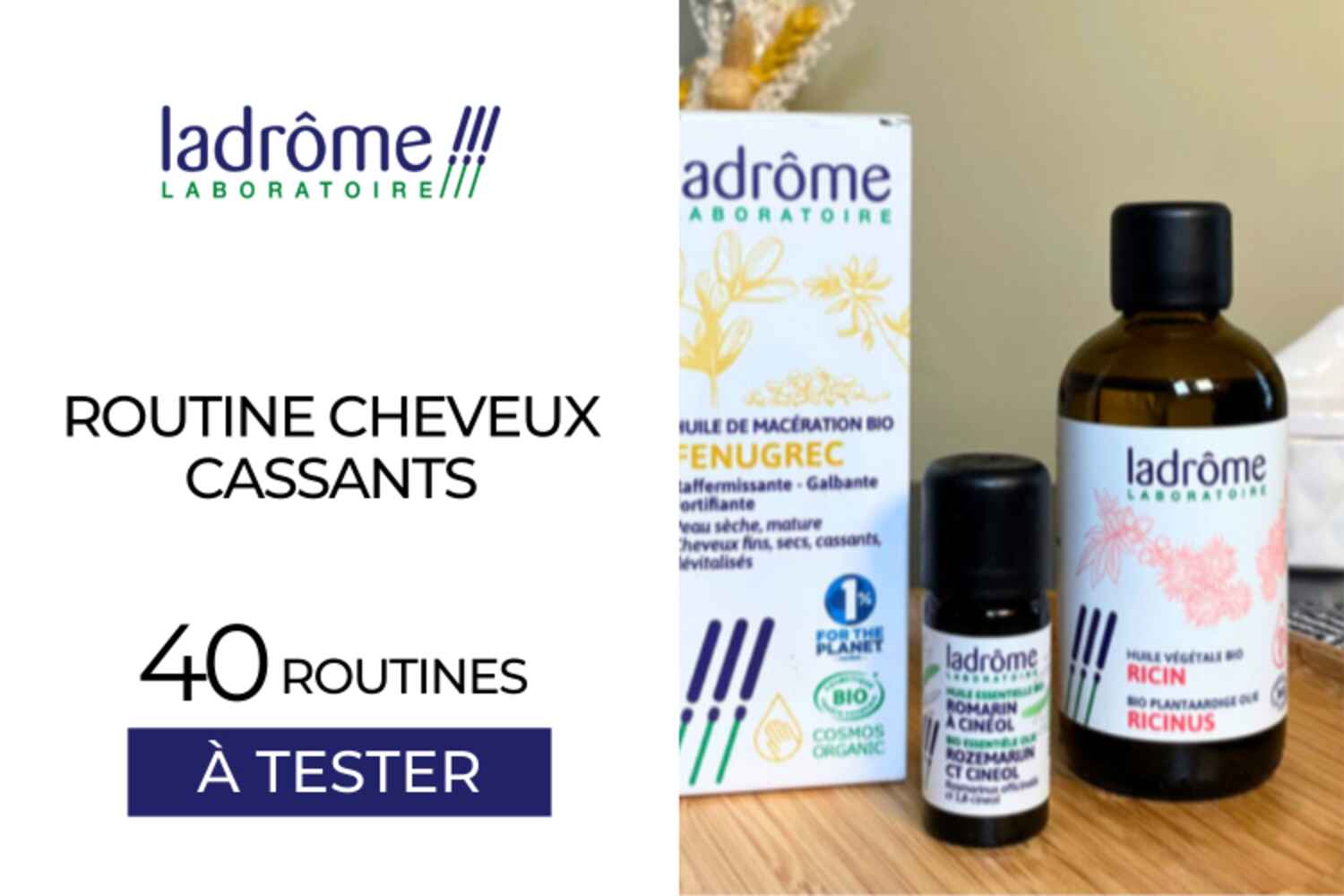 40 Routines cheveux cassants à tester !