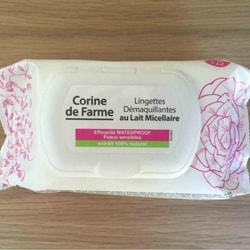 Vanity of our lives teste les lingettes Corine de Farme