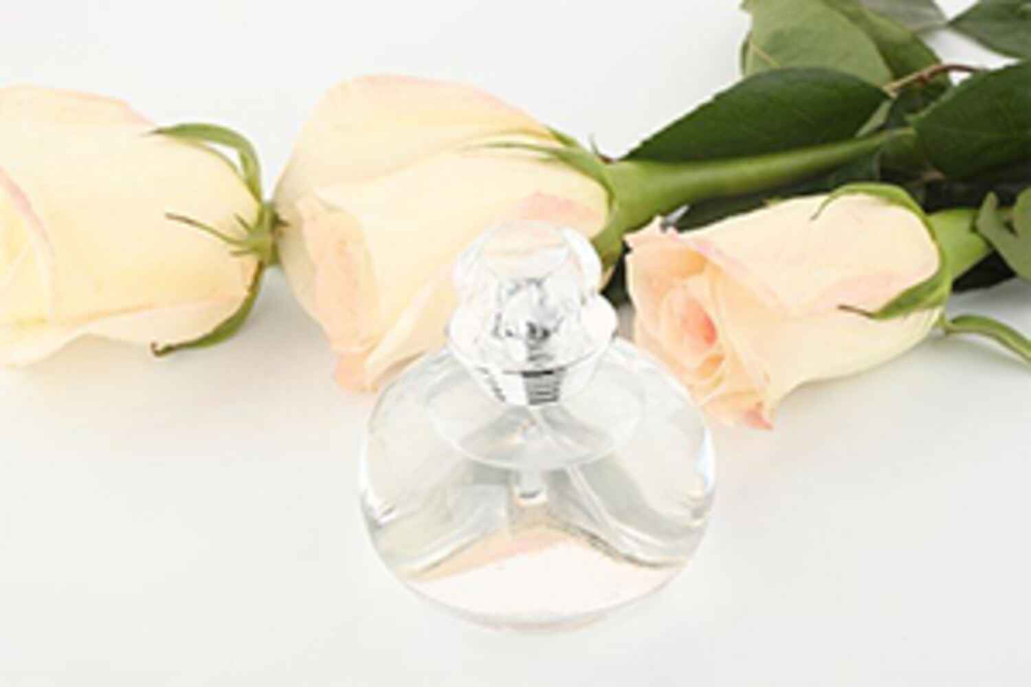 Dossier spécial parfum